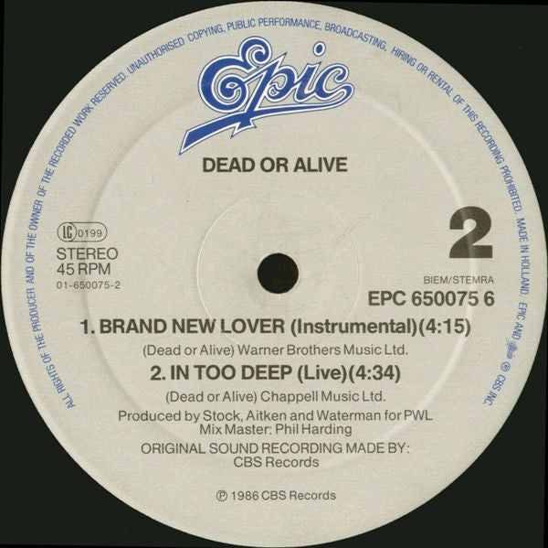 Dead Or Alive – Brand New Lover (12", Europe - 1986)