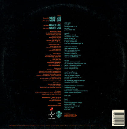 Anthony And The Camp – What I Like (12", US - 1986)
