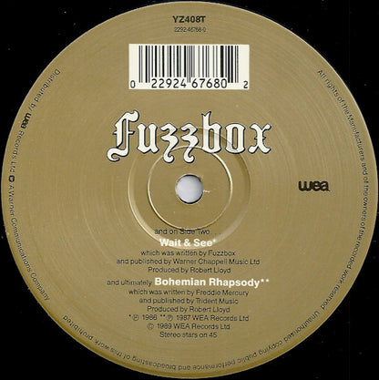 We've Got A Fuzzbox And We're Gonna Use It – Self! (12", UK - 1989)