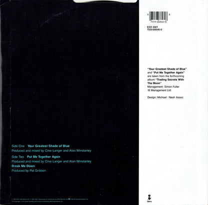 The Adventures – Your Greatest Shade Of Blue (12", UK - 1990)