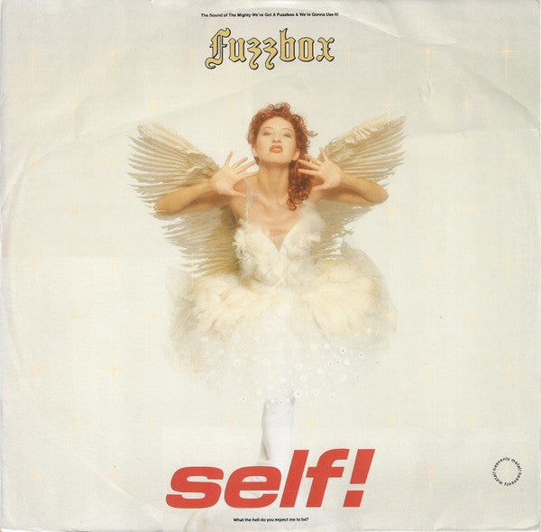 We've Got A Fuzzbox And We're Gonna Use It – Self! (12", UK - 1989)