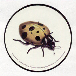 Mastik Soul – South Tribal / North Tribal (12", UK - 2004)