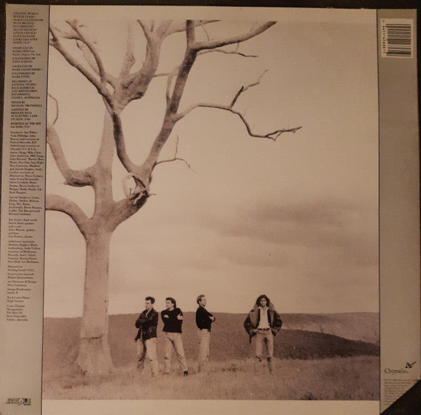 The Venetians – Amazing World (LP, Album, US - 1988)