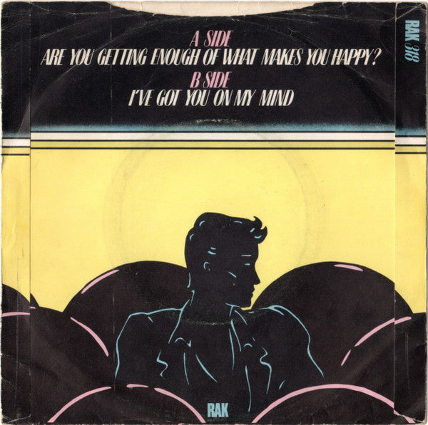 Hot Chocolate – Are You Getting Enough Of What Makes You Happy? (7", UK - 1980)