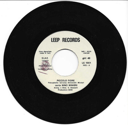 Nino Minieri, Giacomo Simonelli, Akademia's Sound – Piccolo Fiore (7", Italy)