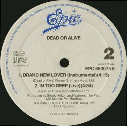 Dead Or Alive – Brand New Lover (12", Europe - 1986)