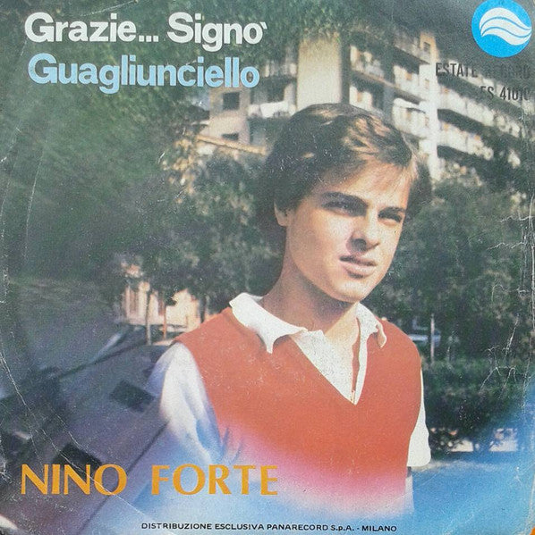 Nino Forte – Grazie... Signò (7", Italy - 1980)