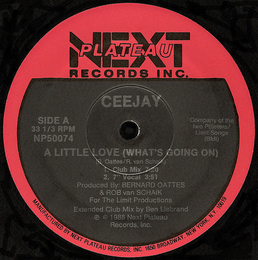 Ceejay ‎– A Little Love (What's Going On) (12", 45 RPM - US)