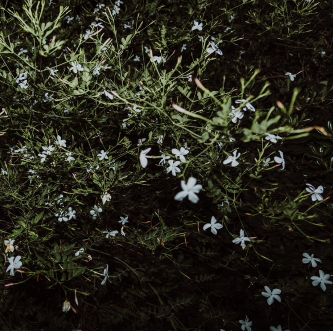 Marco Castello - Pezzi Della Sera (LP, Album - Italy)