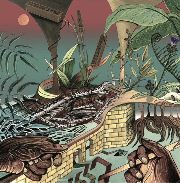 Nu Guinea - The Tony Allen Experiments (LP, Album - France)